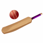 HARD BALL BAT